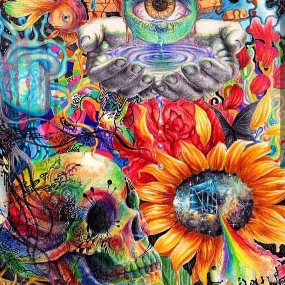 Meet your Posher, Lynn